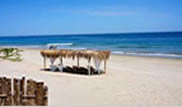 Mancora