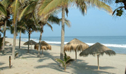 Mancora