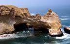 Full Day Paracas