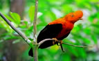 Puerto Maldonado