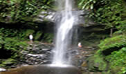 Tarapoto Basico